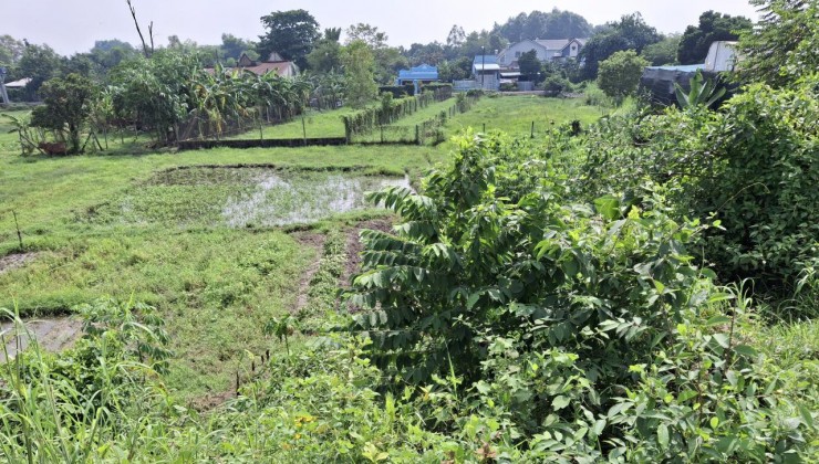 Đất view kênh Đường 566 Củ Chi, 1894m2, 56x50m, Đ.5m chỉ 5.x tỷ